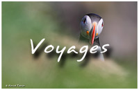 Accder  la galerie photos de Voyages